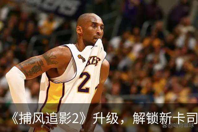 《捕风追影2》升级，解锁新卡司，四大美女加盟