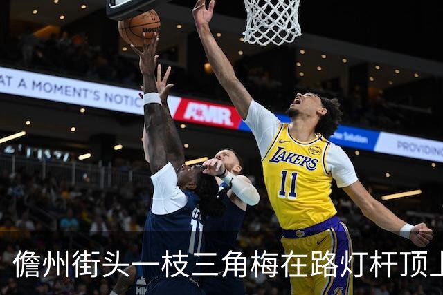 儋州街头一枝三角梅在路灯杆顶上开花，被赞“全网最努力”，园林管理局：其生长状况良好