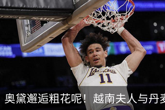 奥黛邂逅粗花呢！越南夫人与丹麦玛丽王后，外交红毯上演东西方美学碰撞