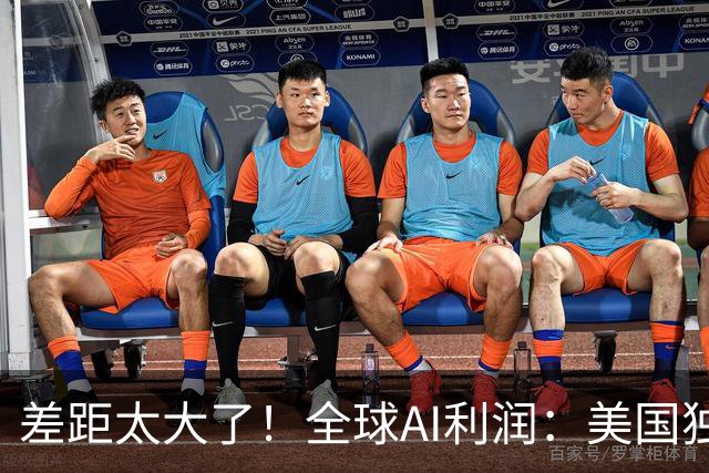 差距太大了！全球AI利润：美国独占49%，韩国35%，中国仅4.1%