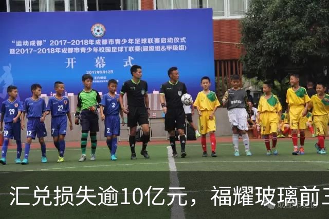 汇兑损失逾10亿元，福耀玻璃前三季度实现归母净利润60亿元，同比下滑近15%