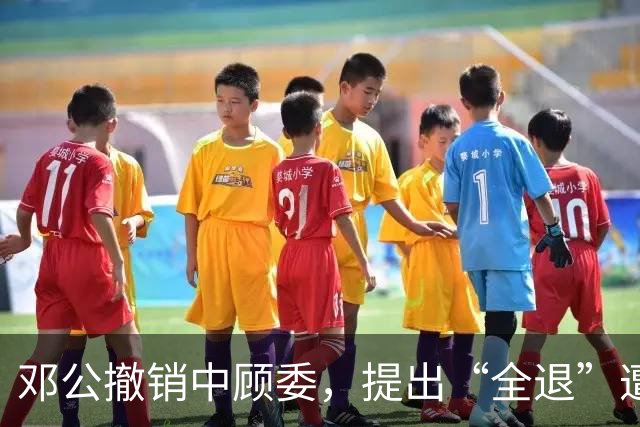 邓公撤销中顾委，提出“全退”遭多人反对，薄一波一句话说服大家！