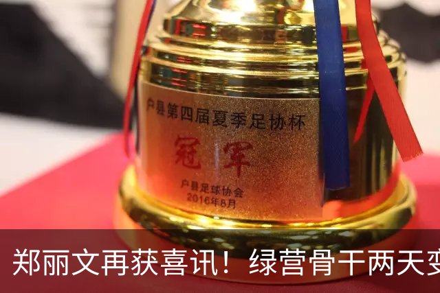 郑丽文再获喜讯！绿营骨干两天变蓝