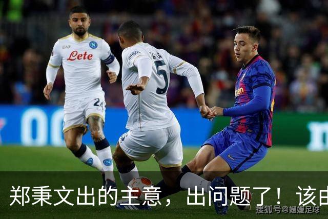 郑秉文出的主意，出问题了！该由郑秉文出来解决！